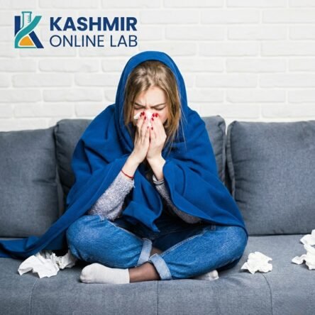 Embracing Winter Wellness in Kashmir – Essential Health Tips for Chillai Kalan