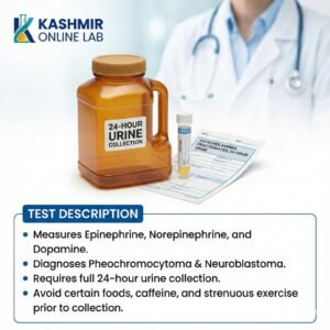 Catecholamines 24 Hour