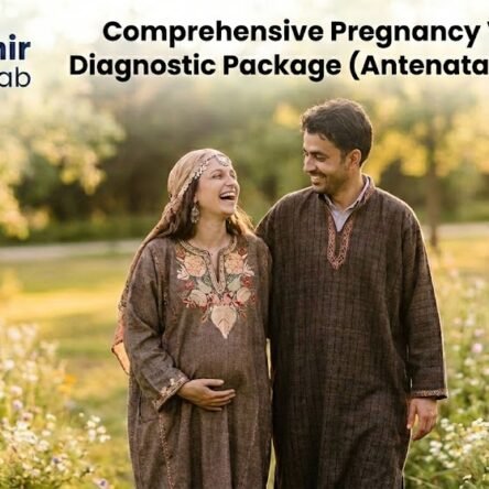 The Motherhood Journey: Embracing the Miracle of Pregnancy, Trimester by Trimester