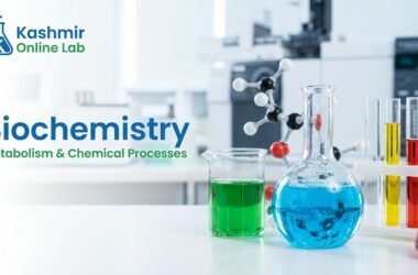 Clinical Biochemistry